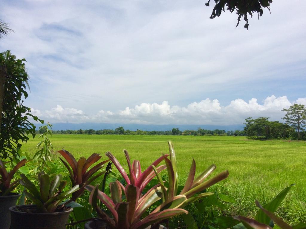 Oui Kaew Homestay Phayao Exterior foto